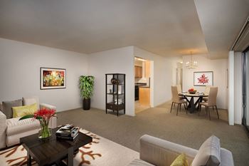 Wall-to-wall carpet